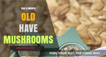 Introducing Mushrooms to Your 11-Month-Old: Safe or Risky?