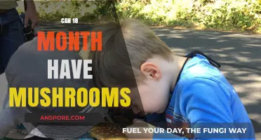Introducing Mushrooms to Toddlers: Safe for 18-Month-Olds?
