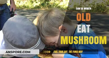 Mushrooms for Toddlers: Safe and Nutritious for 18-Month-Olds?