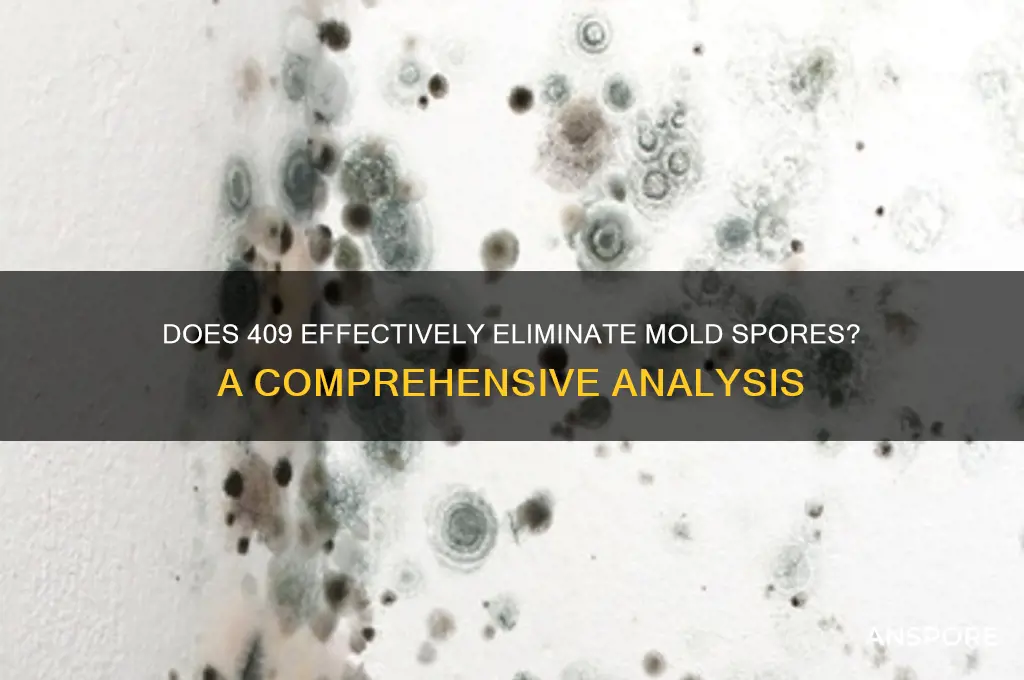 can 409 kill mold spores