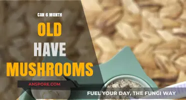 Introducing Mushrooms to Your 6-Month-Old: Safe or Risky?