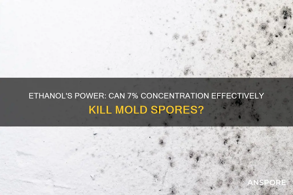 can 7 ethanol kill mold spores