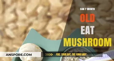 Introducing Mushrooms to Your 7-Month-Old: Safe or Risky?