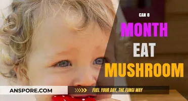 Introducing Mushrooms to Your 8-Month-Old: Safe or Not?