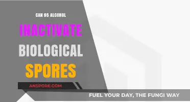 Alcohol's Power: Can 95% Concentration Inactivate Biological Spores?