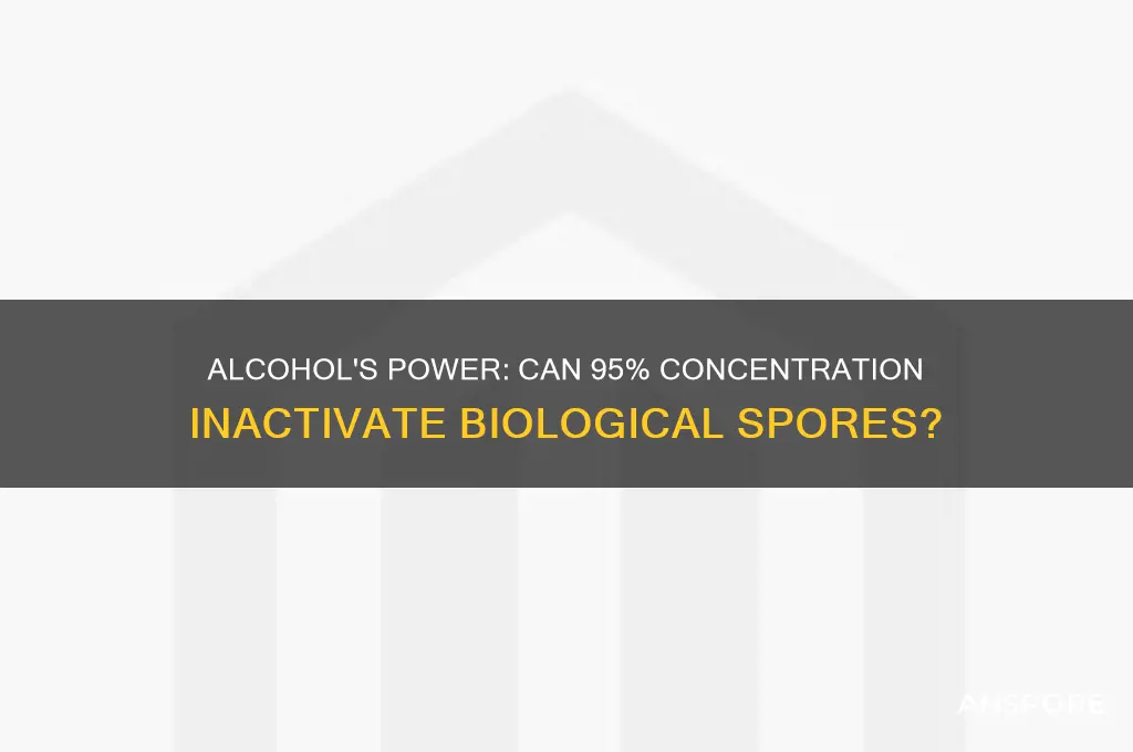 can 95 alcohol inactivate biological spores