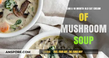 Cream of Mushroom Soup for Babies: Safe at 10 Months?