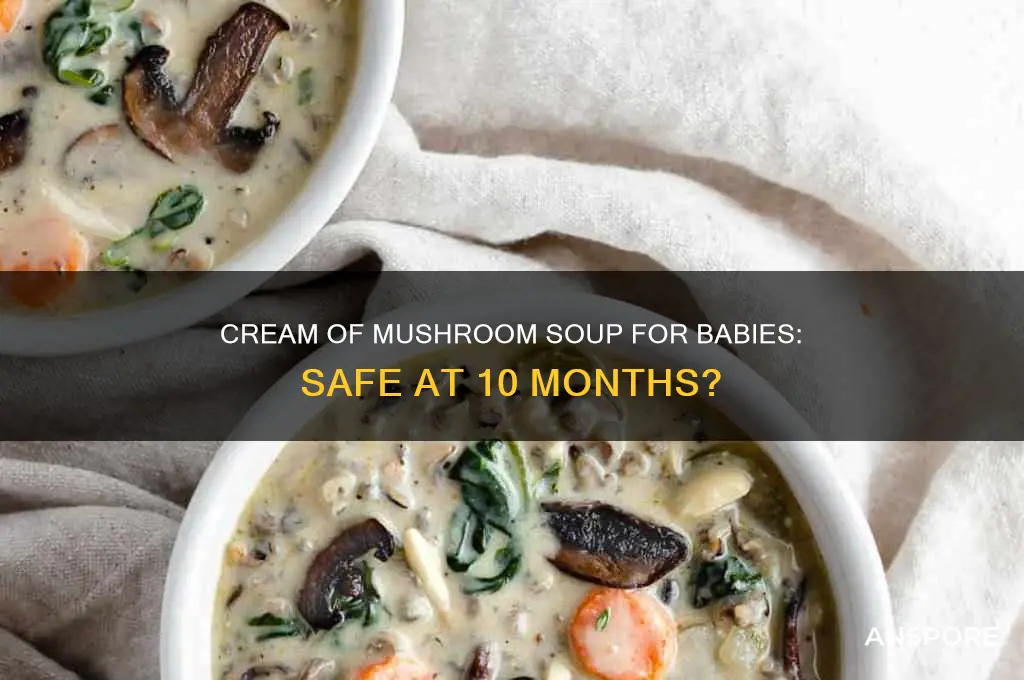 can a 10 month old eat cream of mushroom soup
