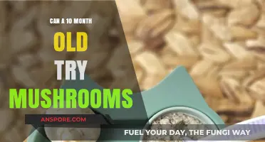 Introducing Mushrooms to Your 10-Month-Old: Safe or Not?