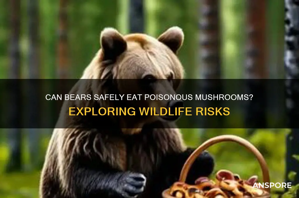 can a bear eat poisonous mushrooms
