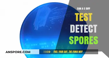 Can C. Diff Tests Detect Spores? Unraveling Diagnostic Accuracy