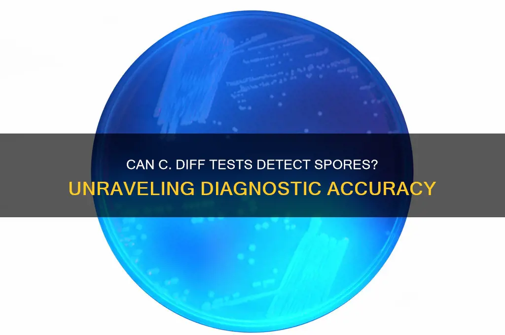 can a c diff test detect spores