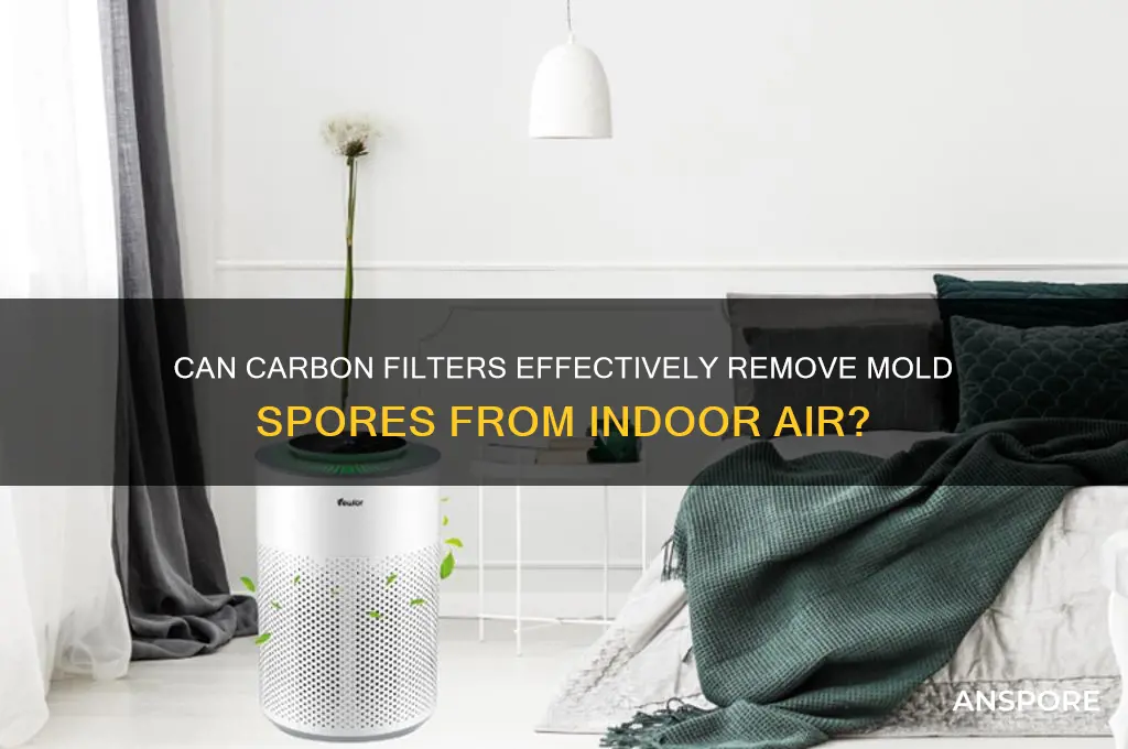 can a carbon filter remove mold spores