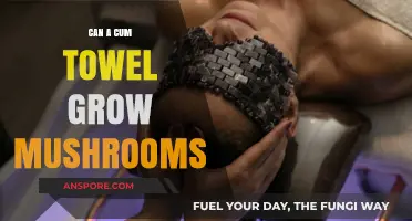 Can a Cum Towel Grow Mushrooms? Unveiling the Surprising Truth