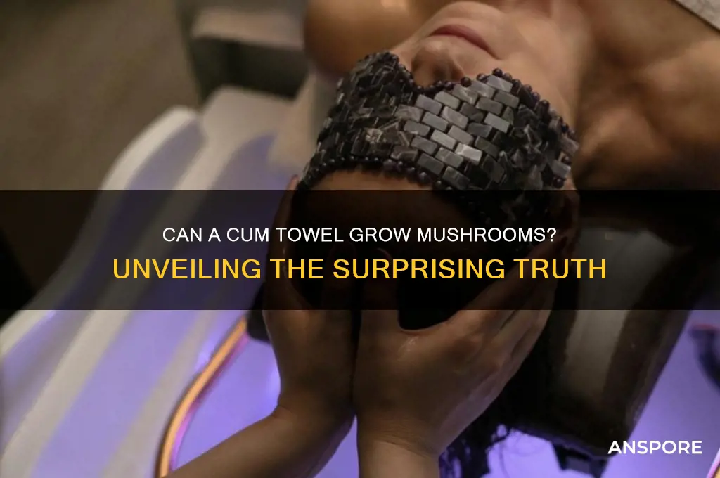 can a cum towel grow mushrooms