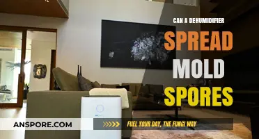 Can Dehumidifiers Spread Mold Spores? Uncovering the Hidden Risks