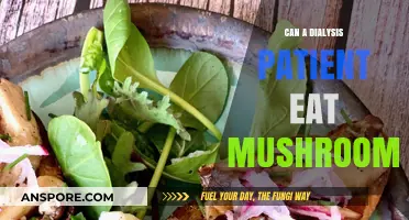 Mushrooms and Dialysis: Safe or Risky for Kidney Patients?