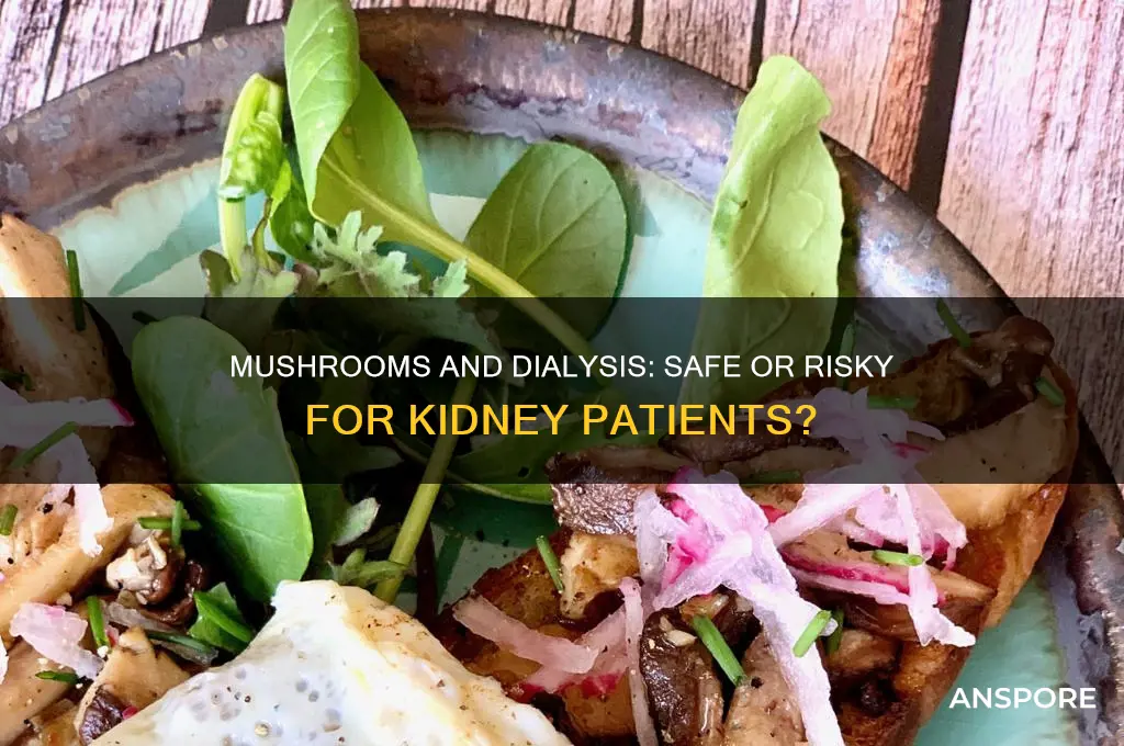 can a dialysis patient eat mushrooms
