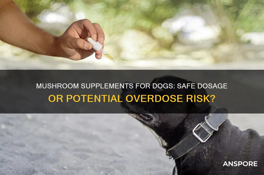 can a dog take too many mushroom supplements
