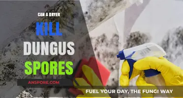 Can Dryers Effectively Kill Dungus Spores? A Comprehensive Guide