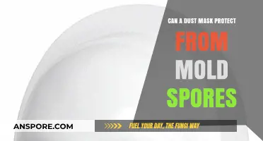 Can Dust Masks Effectively Shield You from Mold Spores?