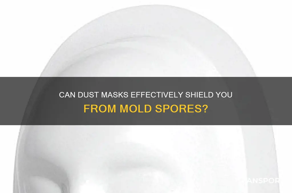 can a dust mask protect from mold spores