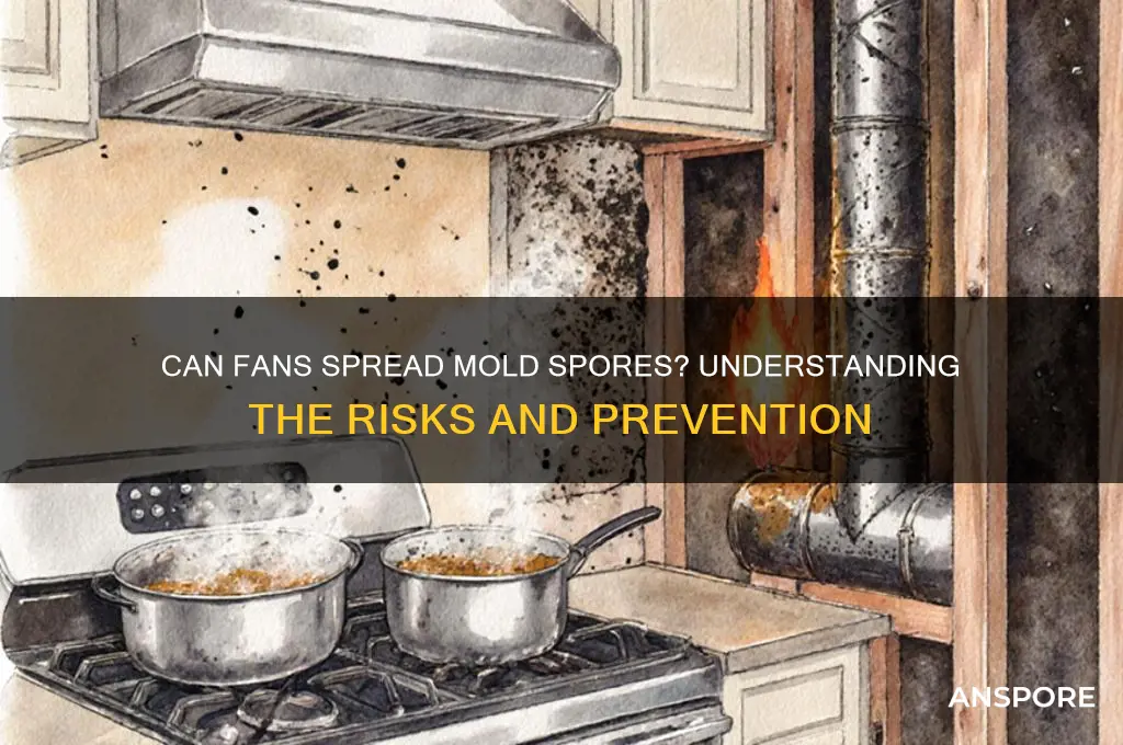 can a fan carry mold spores