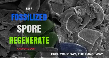 Fossilized Spores: Unlocking the Mystery of Regeneration Potential
