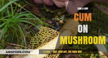 Can Guys Ejaculate While on Mushrooms? Exploring the Effects