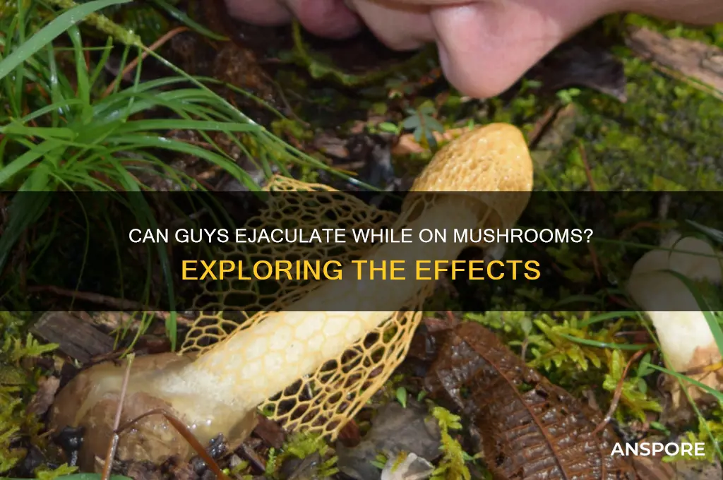 can a guy cum on mushrooms
