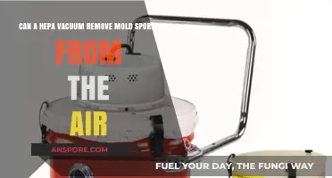 HEPA Vacuums: Effective Solution for Removing Mold Spores from Air?