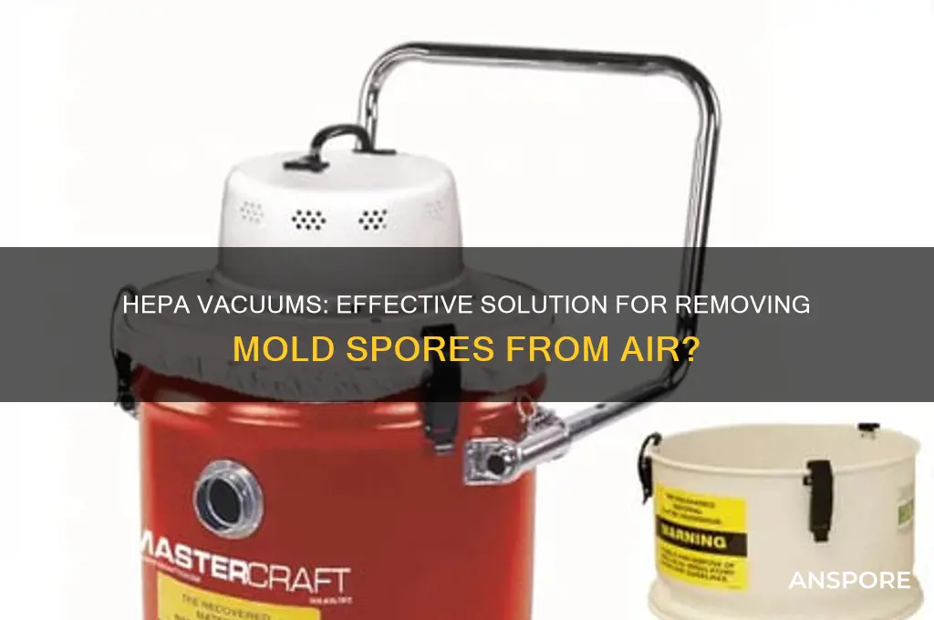 can a hepa vacuum remove mold spores from the air