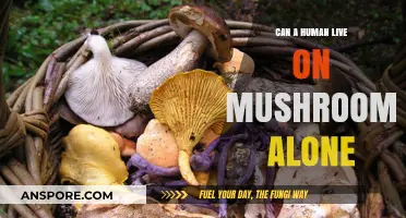 Surviving on Mushrooms: Can Humans Thrive on Fungi Alone?