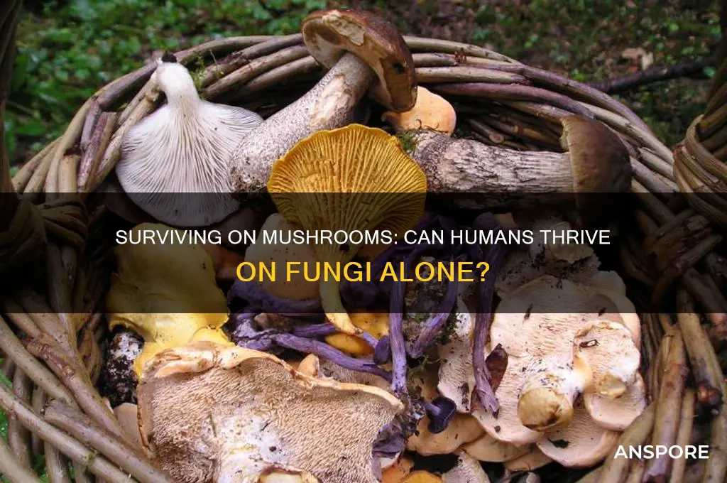 can a human live on mushrooms alone