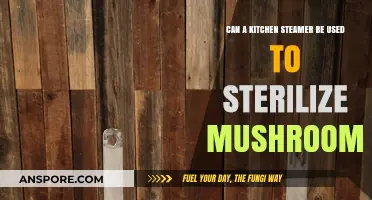 Using a Kitchen Steamer to Sterilize Mushrooms: Safe or Not?
