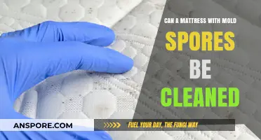 Can Moldy Mattresses Be Saved? Effective Cleaning Tips Revealed