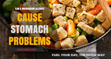 Mushroom Allergy and Stomach Issues: Unraveling the Gastrointestinal Connection