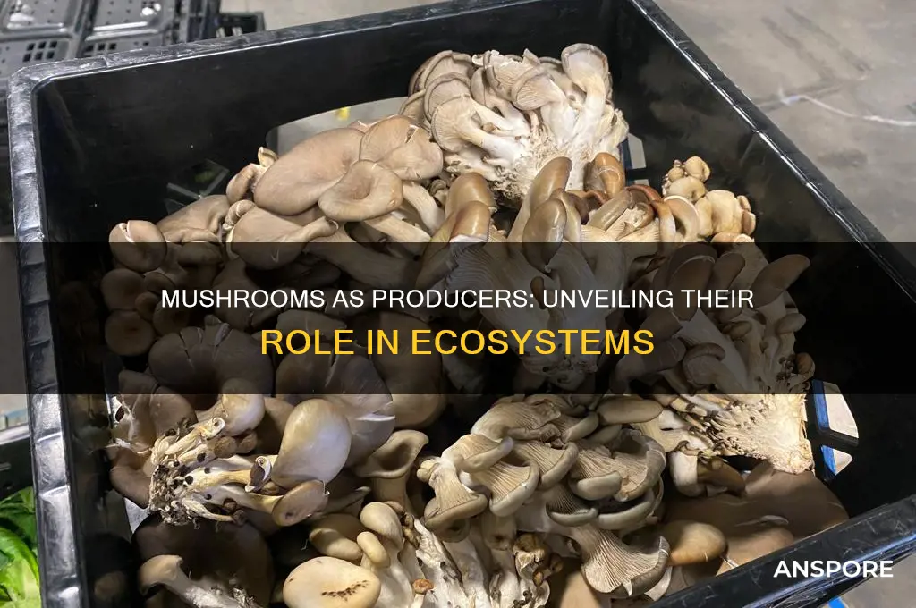 can a mushroom be a producer