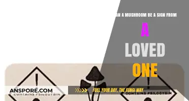 Mushrooms as Messengers: Are They Signs from Departed Loved Ones?