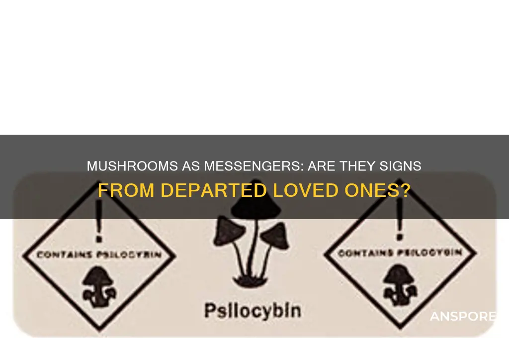 can a mushroom be a sign from a loved one