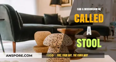 Mushrooms vs. Stools: Unraveling the Fungal Misnomer Debate