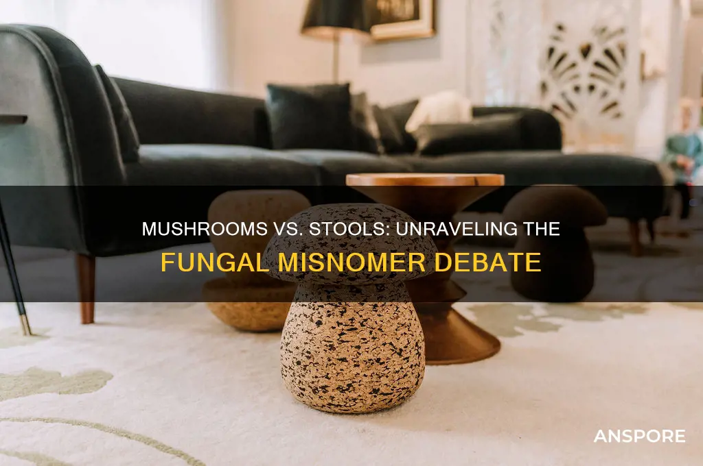 can a mushroom be called a stool