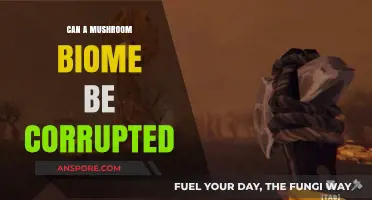 Can Mushroom Biomes Be Corrupted? Exploring Threats and Preservation Methods