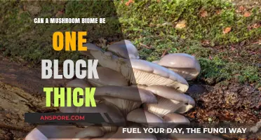 Exploring the Possibility of a One-Block Thick Mushroom Biome