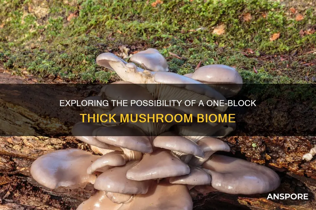 can a mushroom biome be one block thick