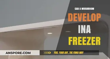 Can Mushrooms Grow in Freezers? Unveiling the Chilling Truth