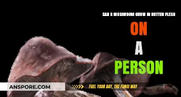 Can Mushrooms Grow in Human Flesh? Unraveling the Myth and Reality