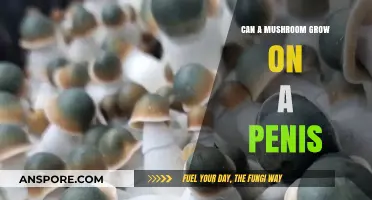 Can Mushrooms Grow on a Penis? Uncovering the Truth