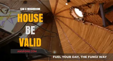 Exploring the Viability of Mushroom Houses: Sustainable or Just a Fad?