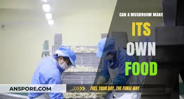 Can Mushrooms Photosynthesize? Unveiling Their Unique Food Production Methods